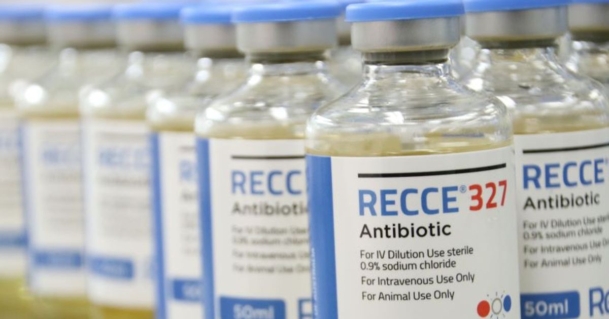Recce Pharmaceuticals Ltd has ethics approval to move to Phase 1/2 IV trial of anti-infective for UTIs - Vimarsana News