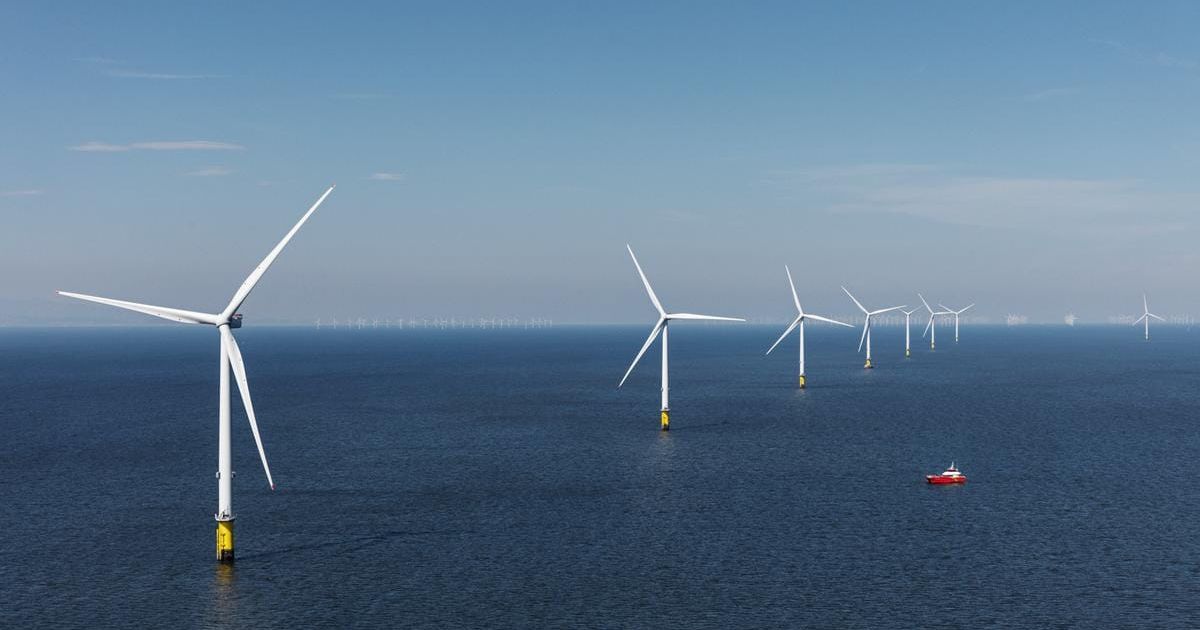 Offshore wind hampered by slow grid connections – report - Vimarsana News