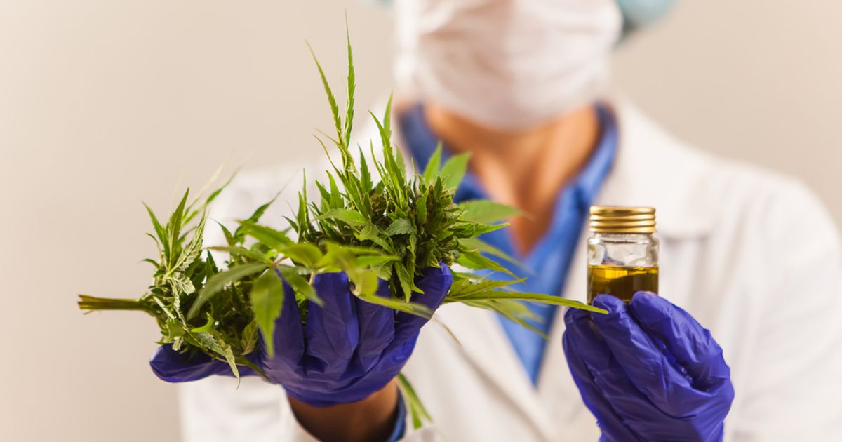 Ananda Developments to launch first medical cannabis oil in June - Vimarsana News
