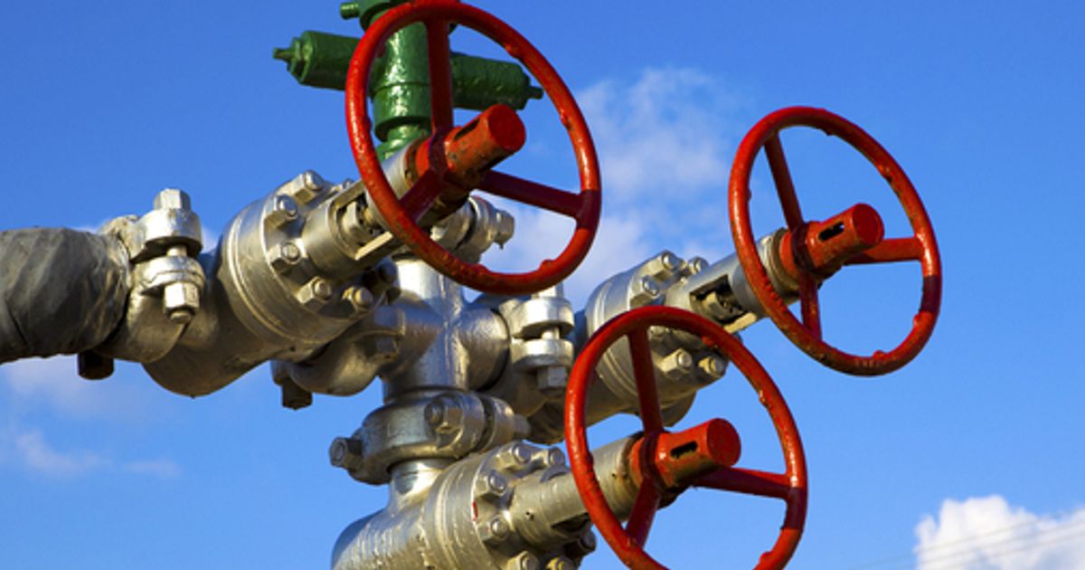Predator Oil & Gas presents at the Proactive One2One Investor Forum - Vimarsana News