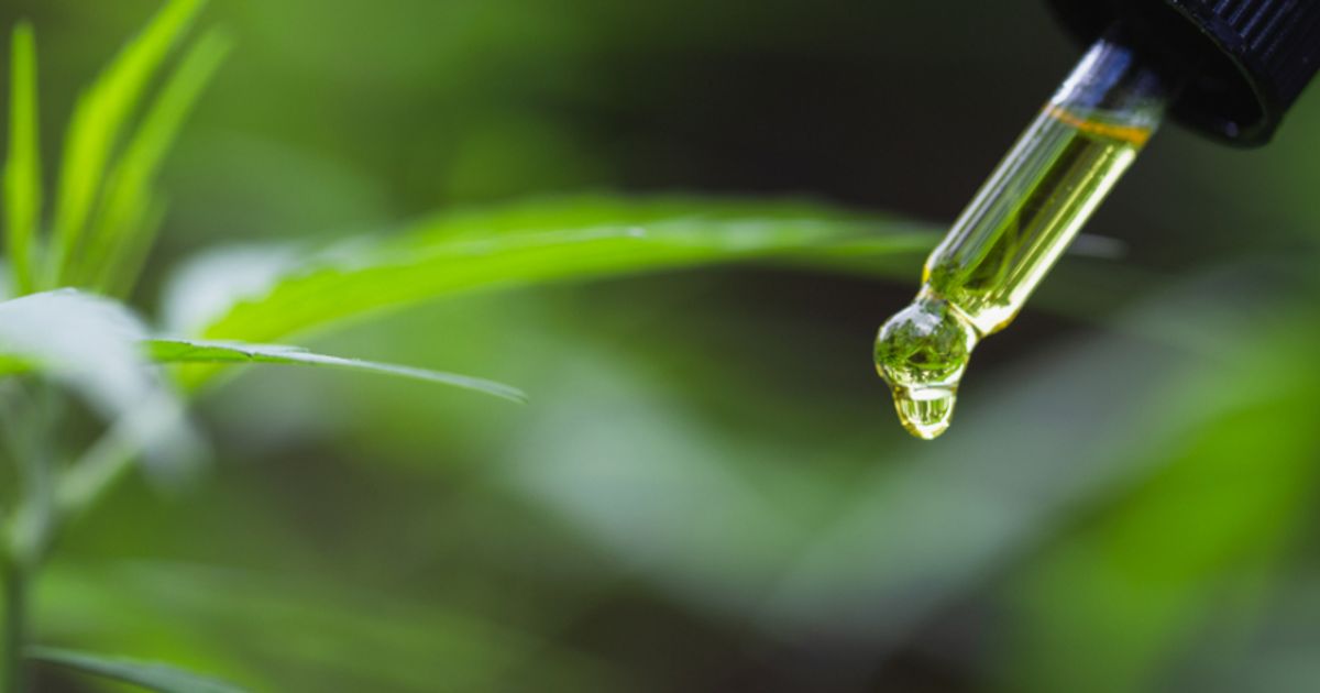 1606 Corp increases production of Brio Nutrition CBD products to meet demand - Vimarsana News