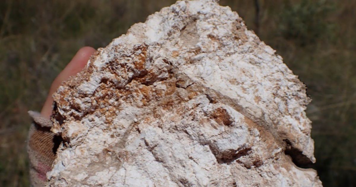 Future Metals NL to kick off drill campaigns at nickel targets at Panton North Project; EIS co-funding secured - Vimarsana News