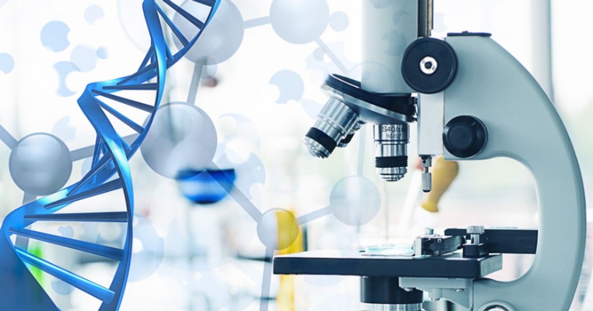 Arovella Therapeutics on track to first-in-human clinical trials for iNKT cell therapy cancer treatment - Vimarsana News