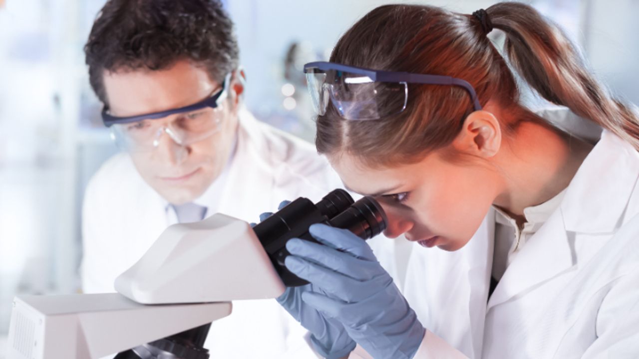 ImmunoGen stock price doubles after ovarian cancer candidate Elahere ...
