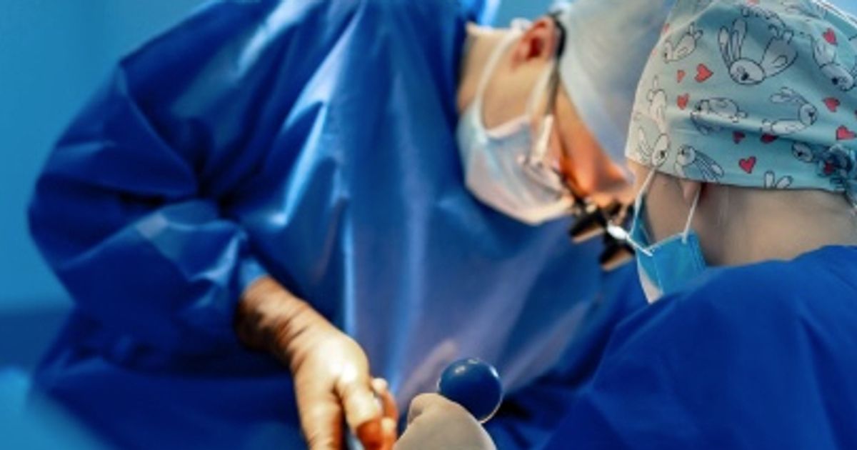 Creo Medical hails lung cancer milestone - Vimarsana News