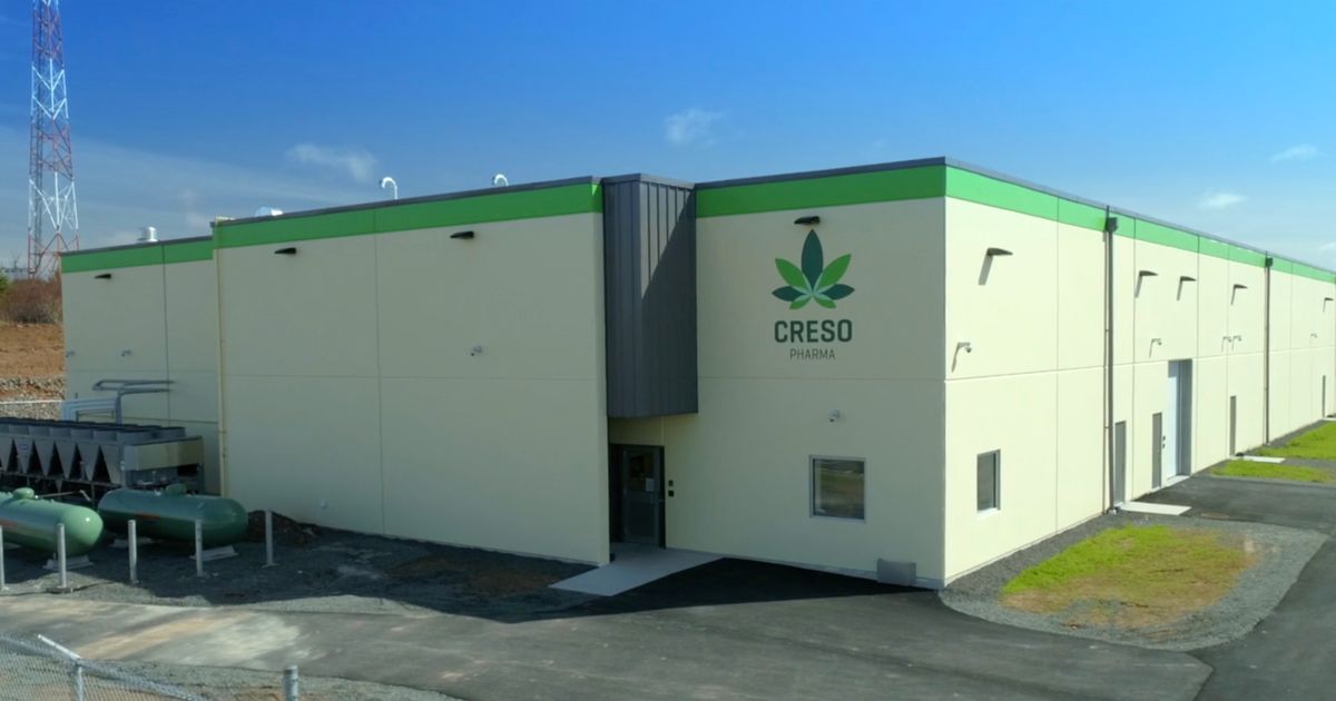 Creso Pharma Ltd has strong foundation for growth across multiple verticals - Vimarsana News
