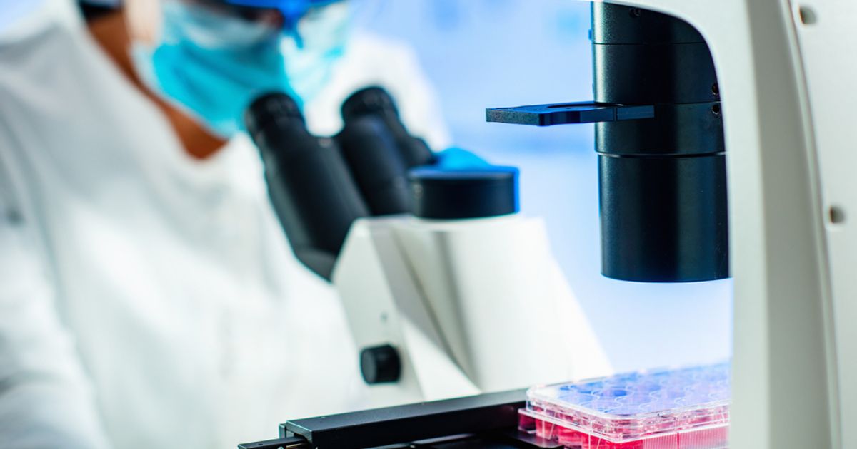 Instem PLC proves in step with groundbreaking market needs as it posts strong 2022 performance - Vimarsana News