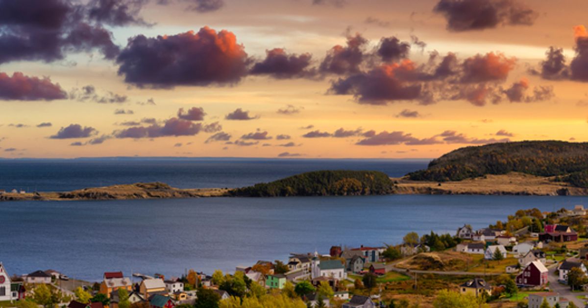 Falcon Gold and Marvel Discovery Corp option Newfoundland property to Carmanah Minerals for rare earth exploration - Vimarsana News