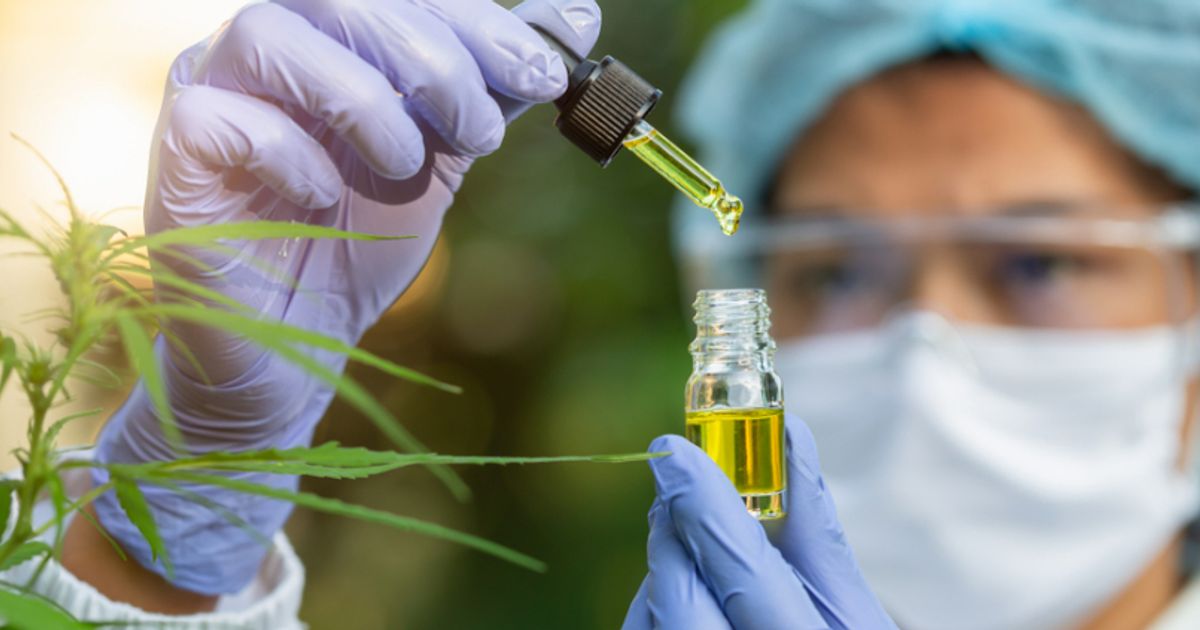 Ananda Developments says cannabinoid-based medicine will become "completely ubiquitous" - Vimarsana News