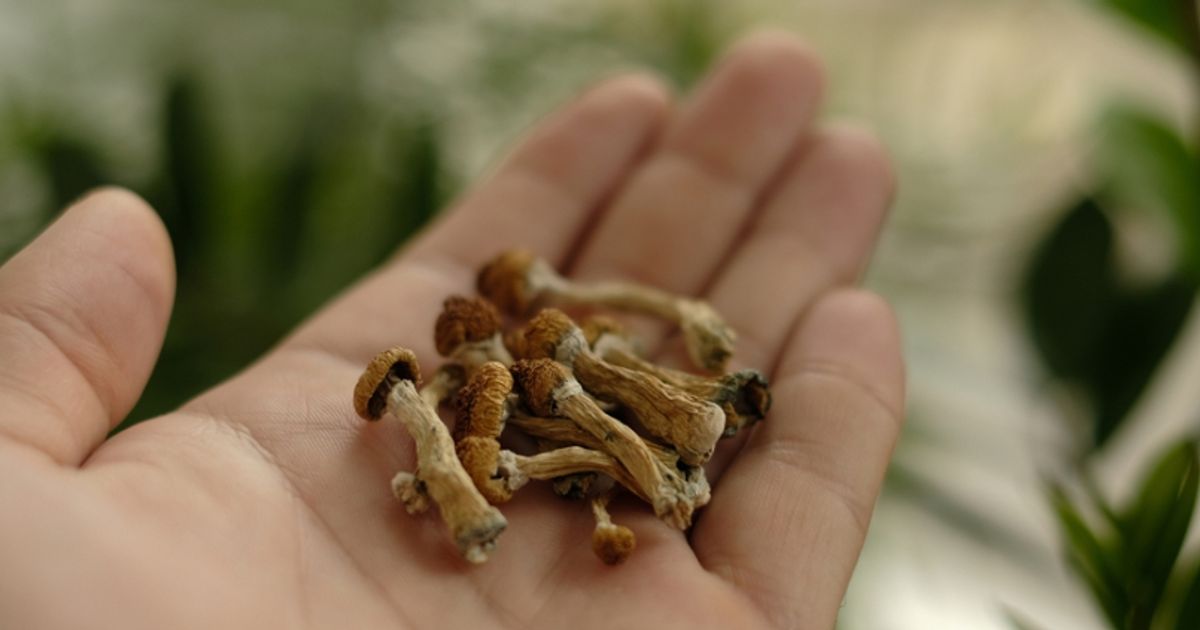 Perfect time to invest in psychedelics before Big Pharma makes its move: VC fund manager - Vimarsana News