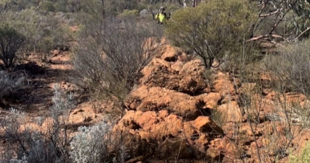 Forrestania Resources Ltd uncovers pegmatite outcrops across Eastern Goldfields project areas - Vimarsana News