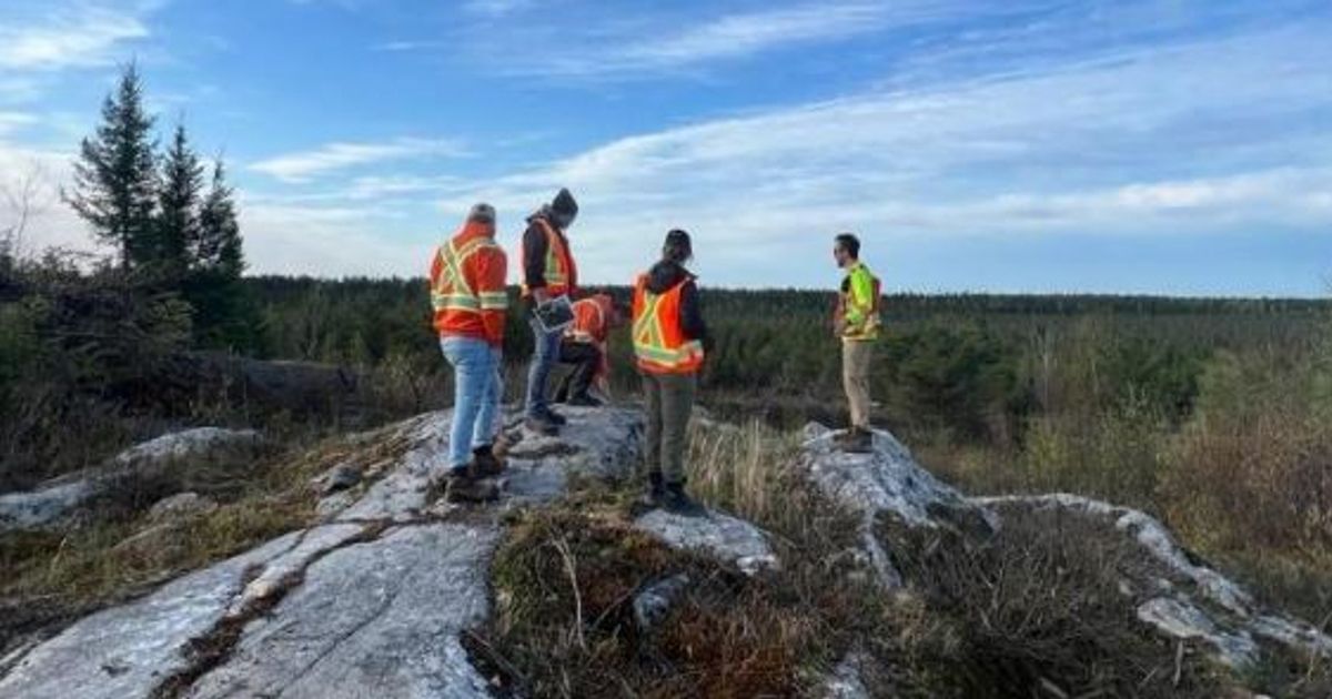 Green Technology Metals Ltd eyes maiden Root Bay resource after more high-grade lithium results - Vimarsana News