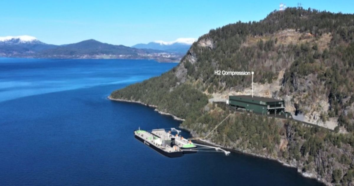 Provaris Energy and Norwegian Hydrogen to spearhead green hydrogen ...