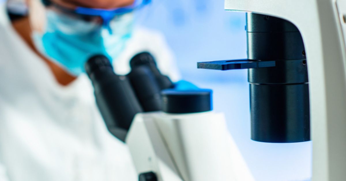 Roquefort Therapeutics hails promising early cancer data - Vimarsana News