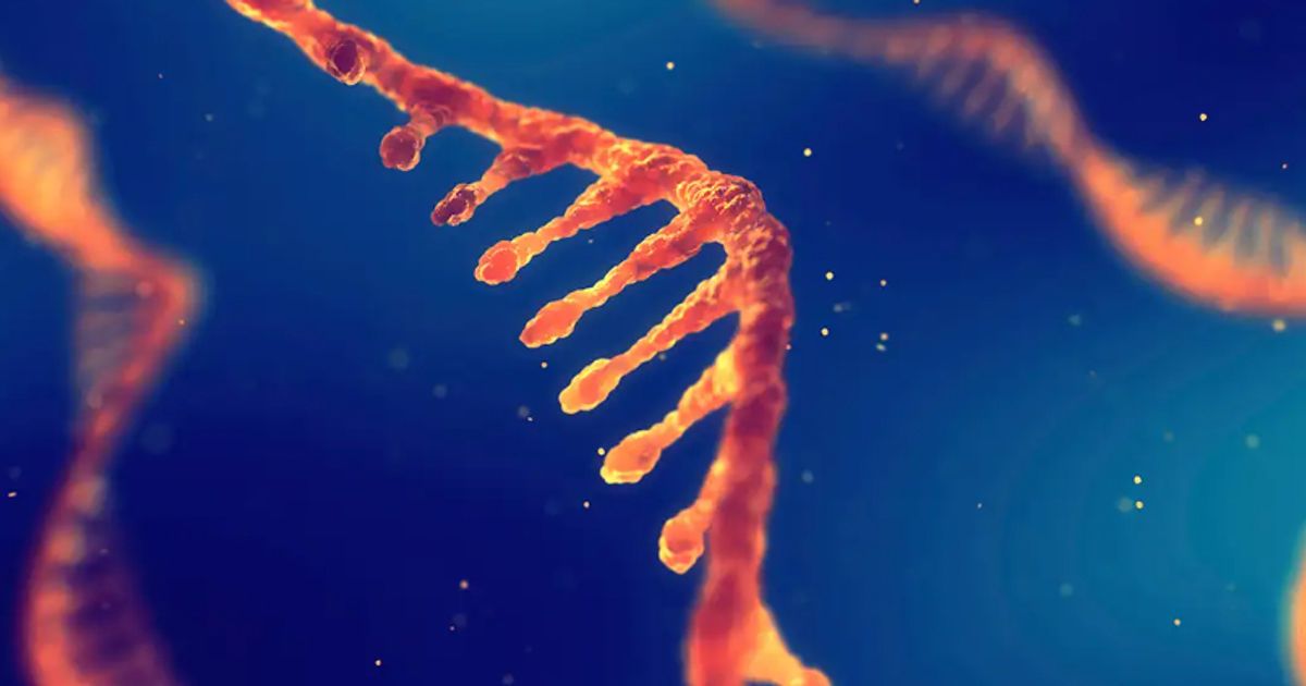 TransCode Therapeutics making preclinical progress with lead metastatic cancer candidate TTX MC 138 - Vimarsana News