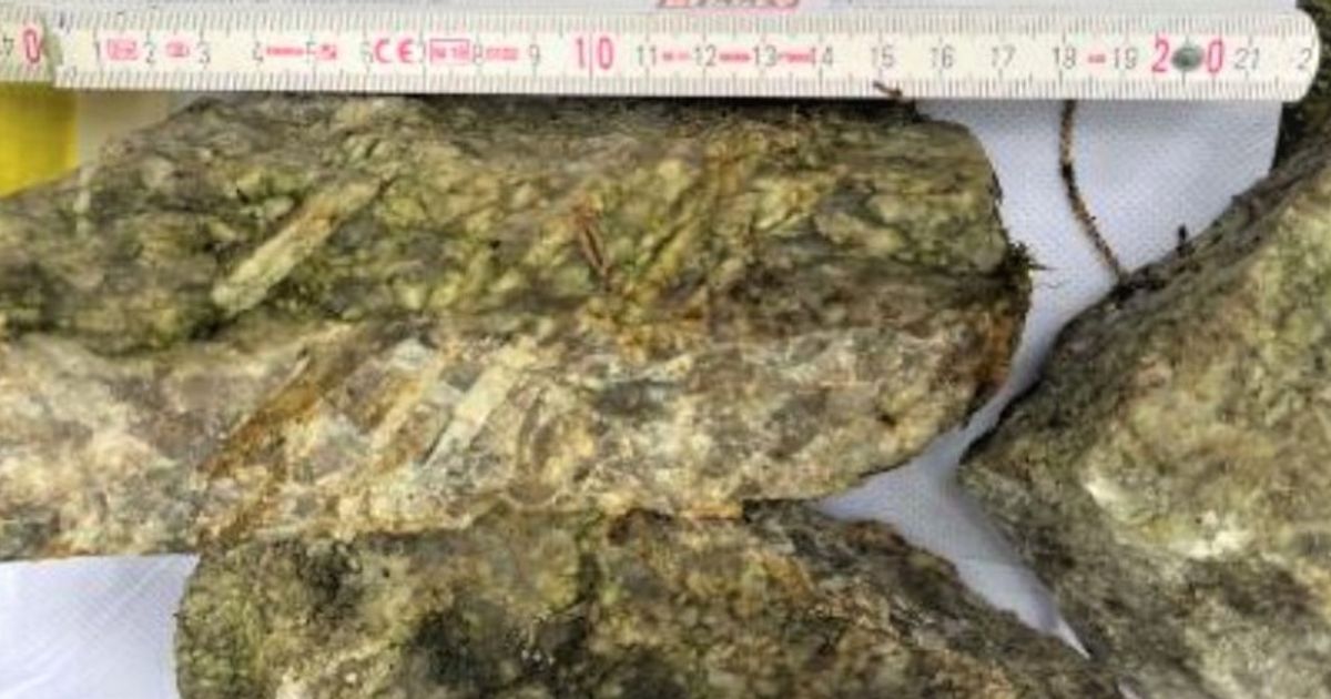 European Lithium Ltd strengthens critical minerals portfolio on securing Austrian projects with sample grades up to 3.98% - Vimarsana News