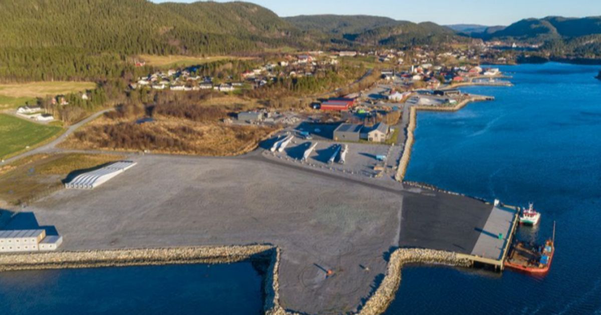Provaris Energy and Gen2 Energy plan to create extensive European hydrogen supply chain - Vimarsana News