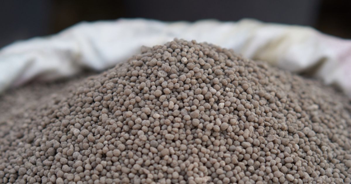 Centrex looking to ramp up production - Vimarsana News
