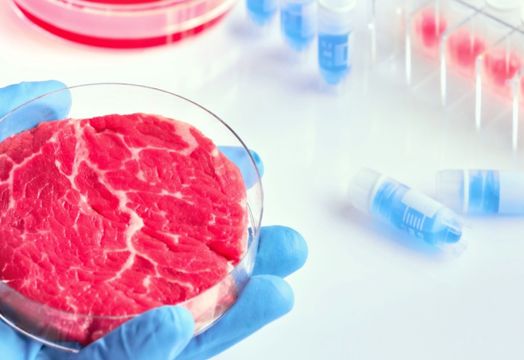 CULT Food Science Corp - 