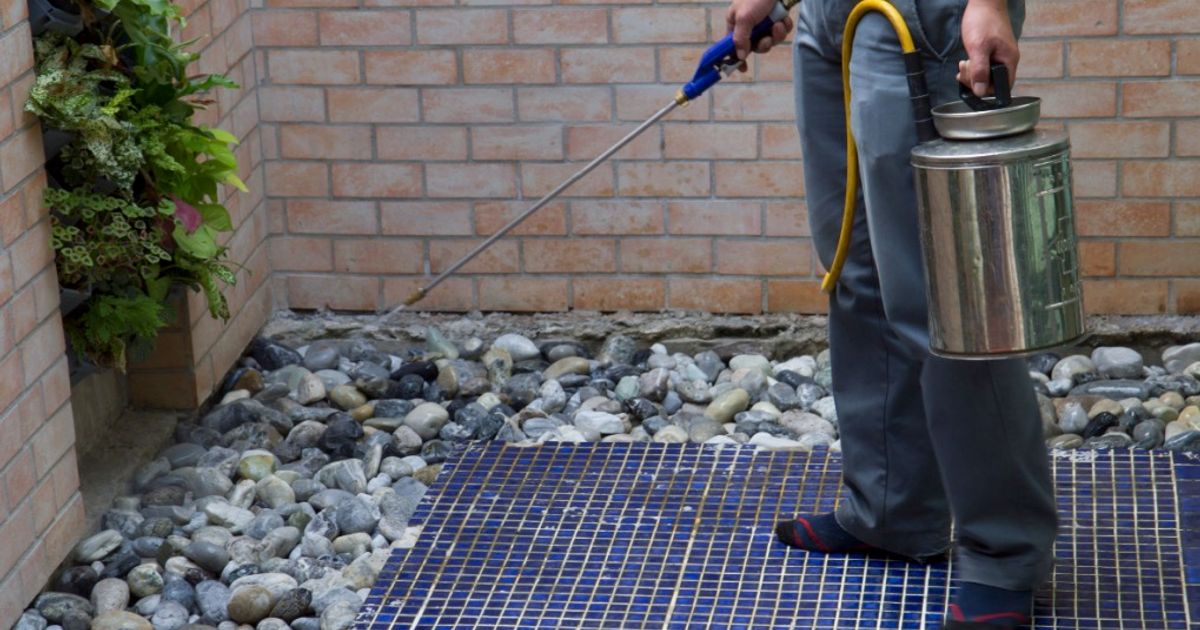 Rollins likely to remain resilient even in recession due to non