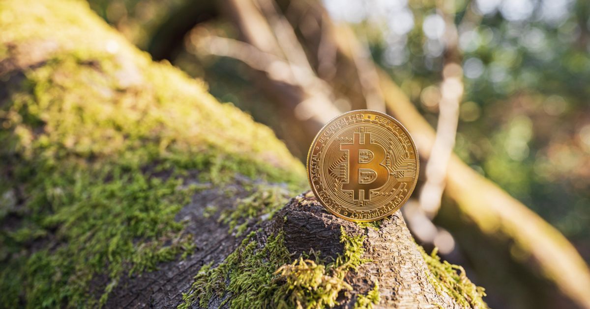 Valour launches carbon-neutral Bitcoin ETP - Vimarsana News