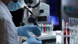 drug development laboratory scientific pharmaceuticals