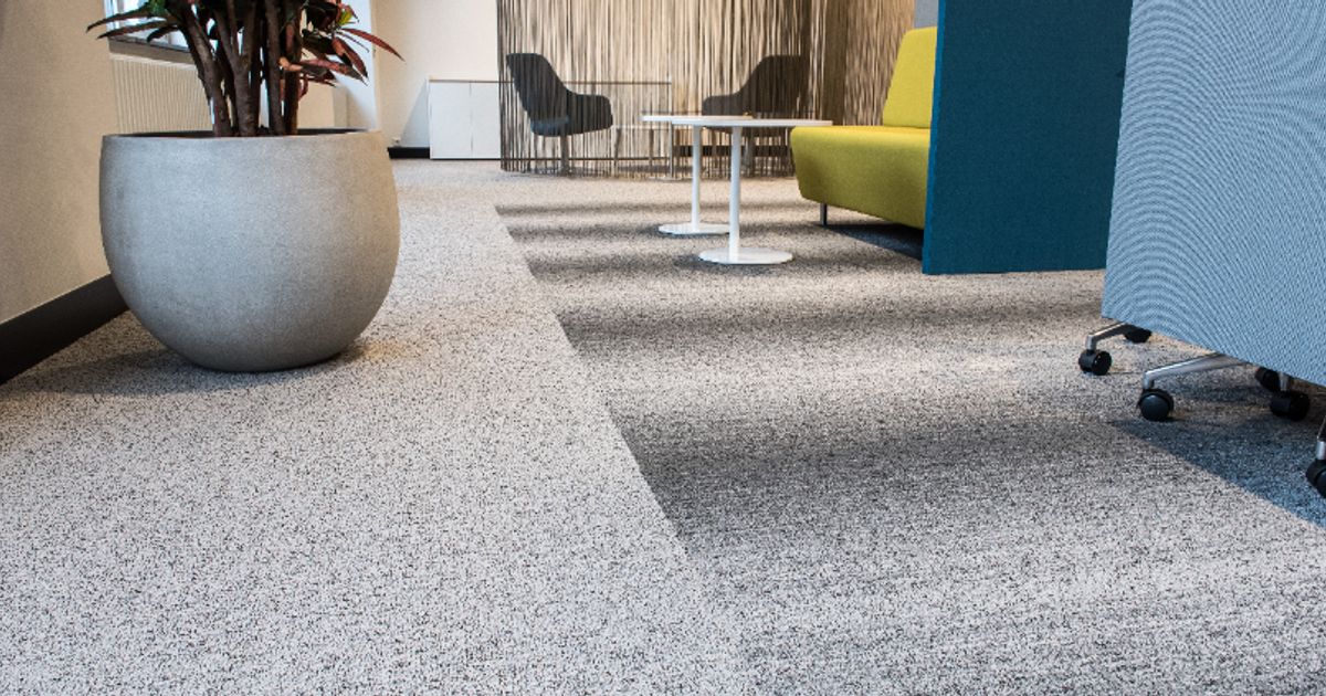 Spenda lays the groundwork with Carpet Court software and lending rollout - Vimarsana News