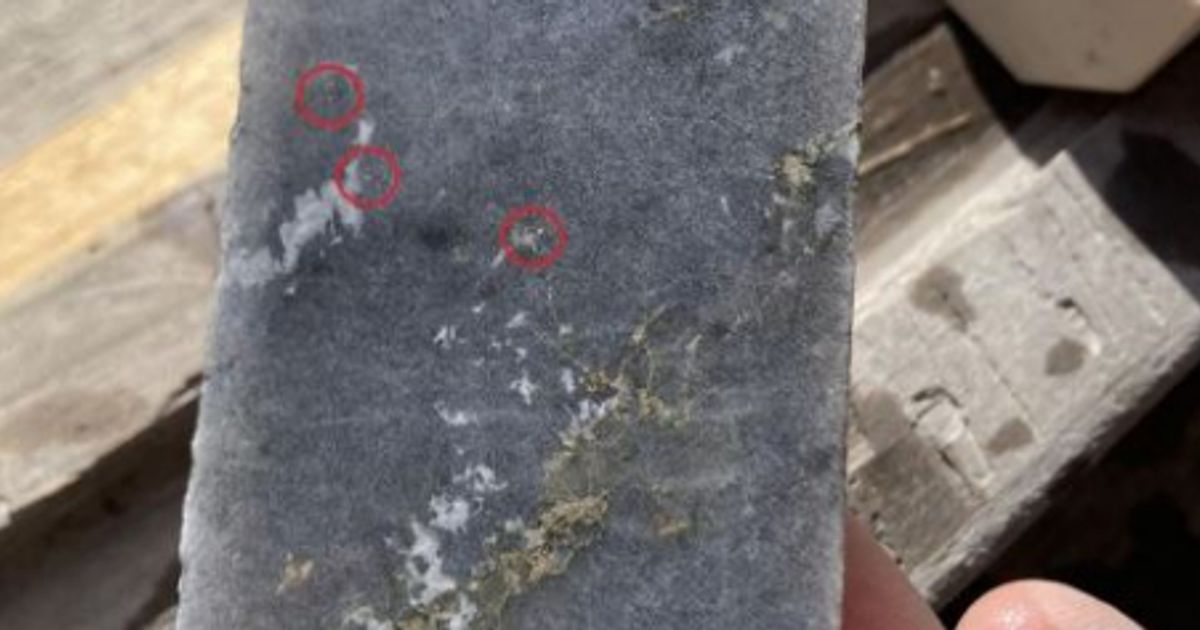 Great Boulder Resources hits grades up to 102.5 g/t gold in all five diamond holes at Ironbark and Mulga Bill - Vimarsana News