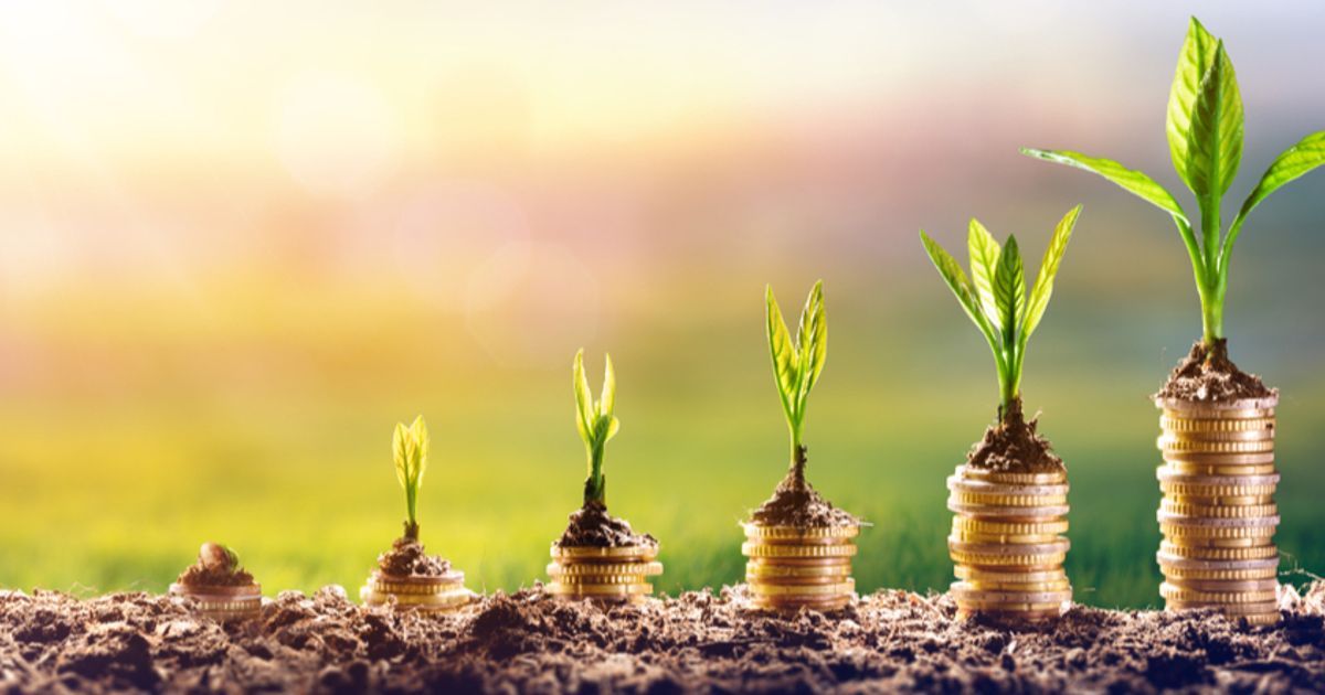 Reward Minerals builds momentum towards key potash milestones this quarter - Vimarsana News