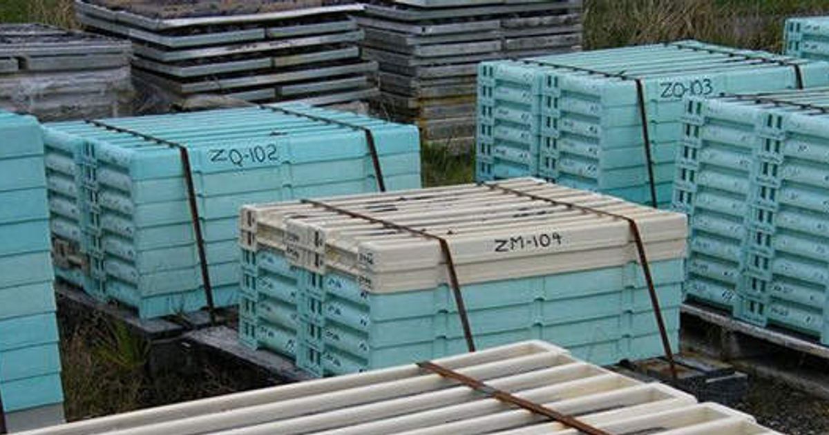 Stellar Resources confident Heemskirk Project will help compensate for global tin supply crunch - Vimarsana News