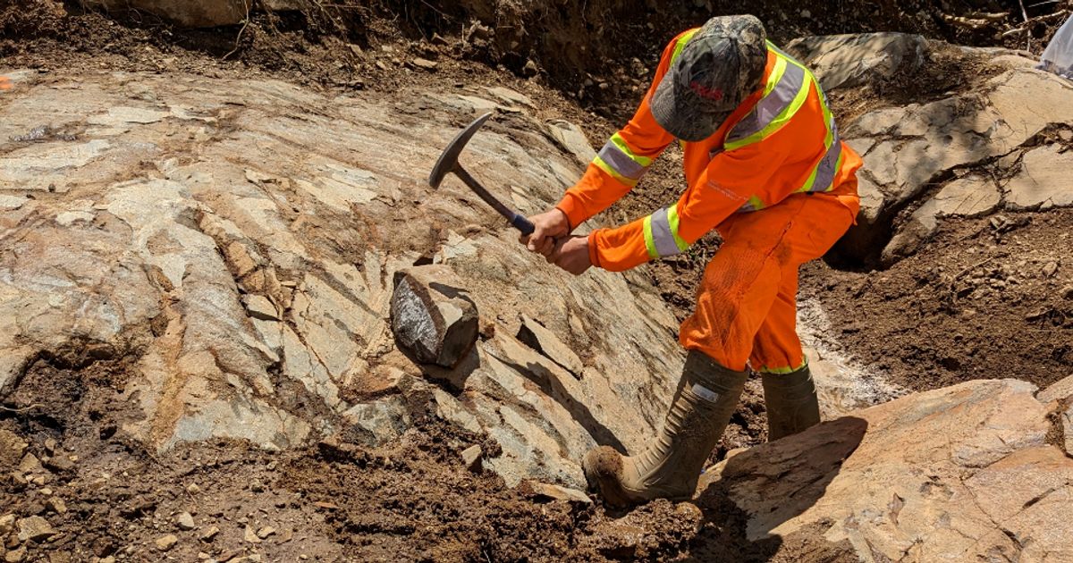 Canada Silver Cobalt Works discovers high-grade gold samples at Castle Mine property in Ontario - Vimarsana News