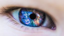 Eye