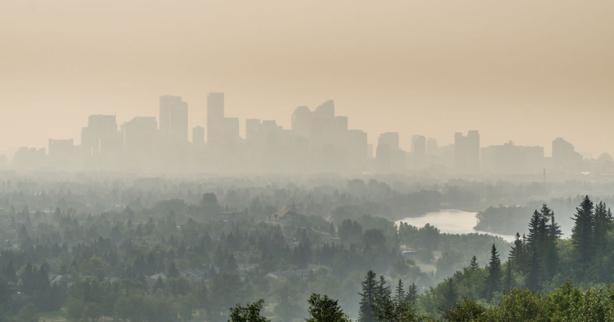 Paramount Resources downgrades first half 2023 sales outlook due to Alberta wildfires - Vimarsana News