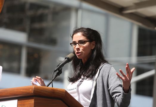 The alleged copyright infringement relates to Sarah Silverman&rsquo;s book The Bedwetter