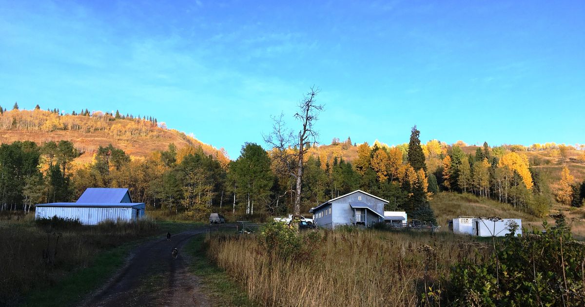 Equity Metals drill results extend mineralization at Silver Queen project - Vimarsana News