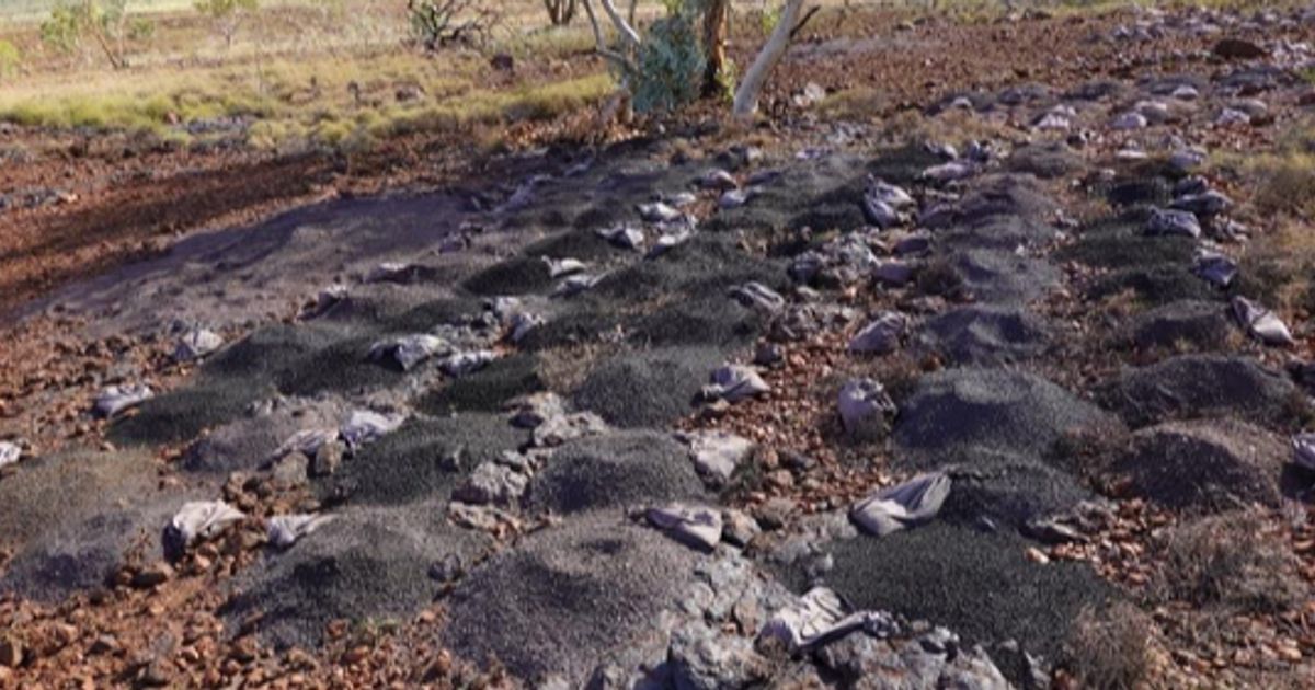 Accelerate Resources reveals high-grade manganese zones near surface at Woodie Woodie North; set to expand drilling - Vimarsana News
