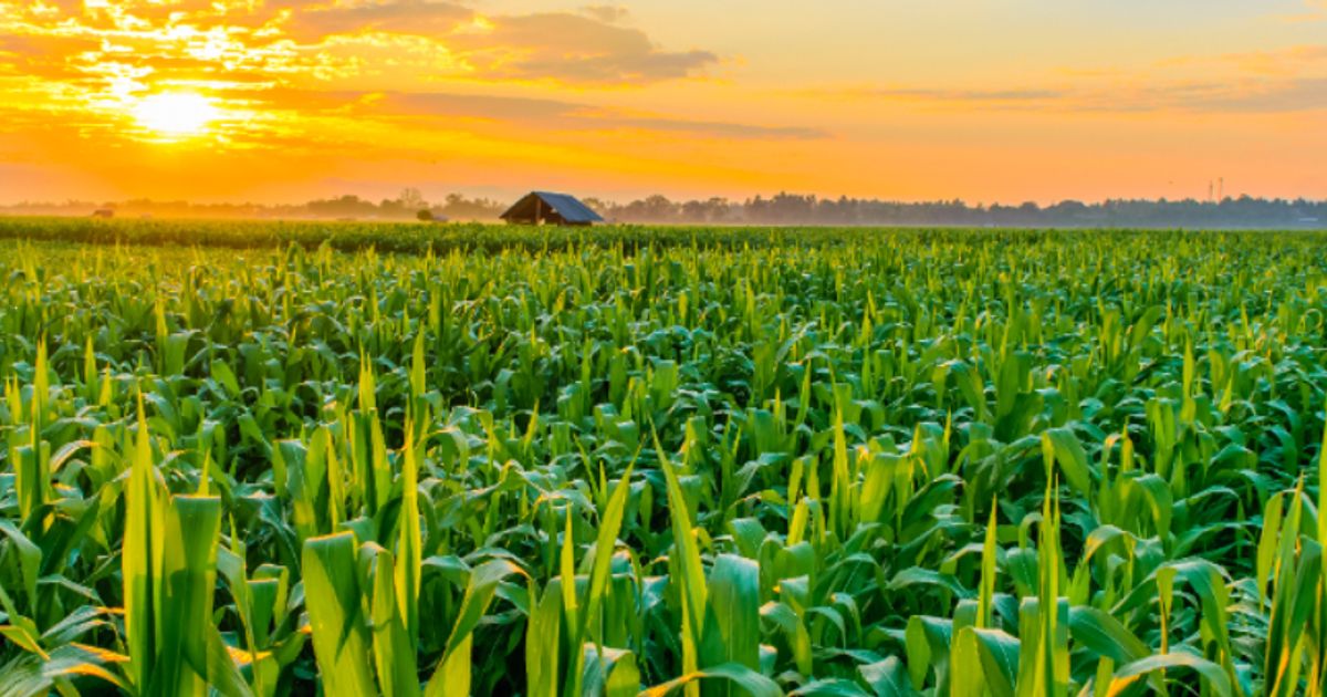 Highfield Resources’ Muga Potash Mine: ESG credentials make it a mine at the forefront of sustainability
