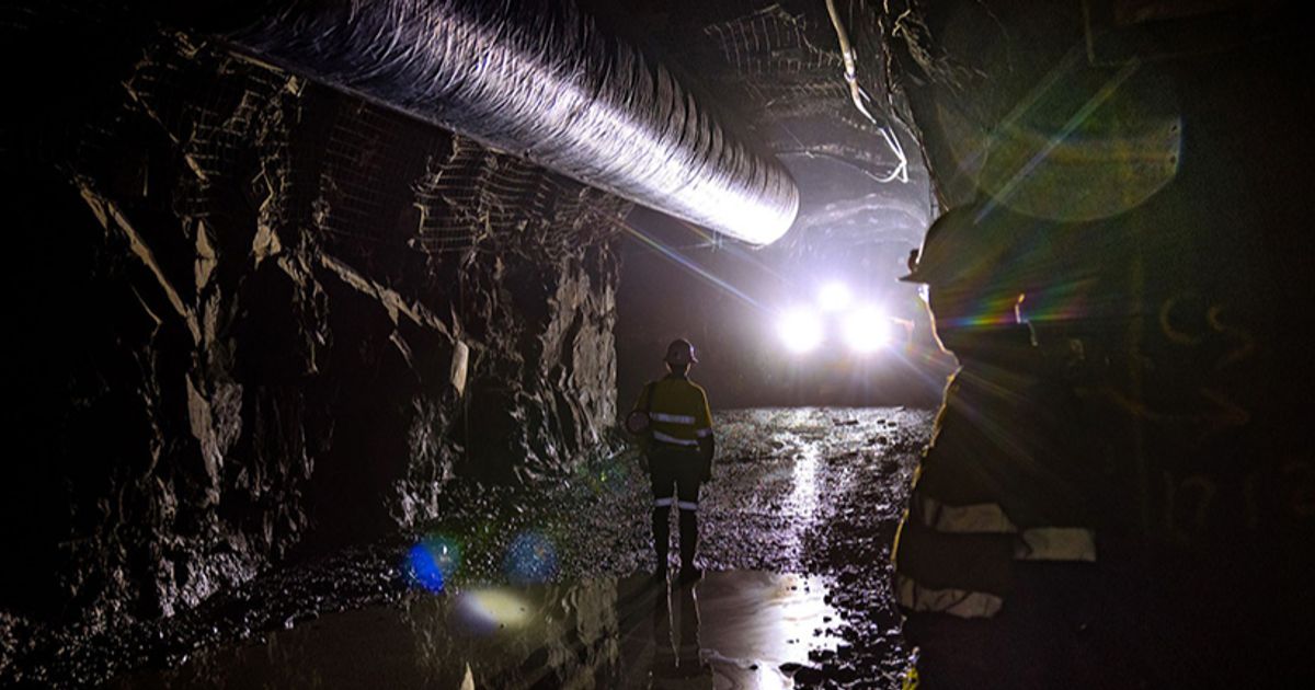 Ora Banda Mining expands high-grade gold mineralisation corridor at Riverina with strong results - Vimarsana News