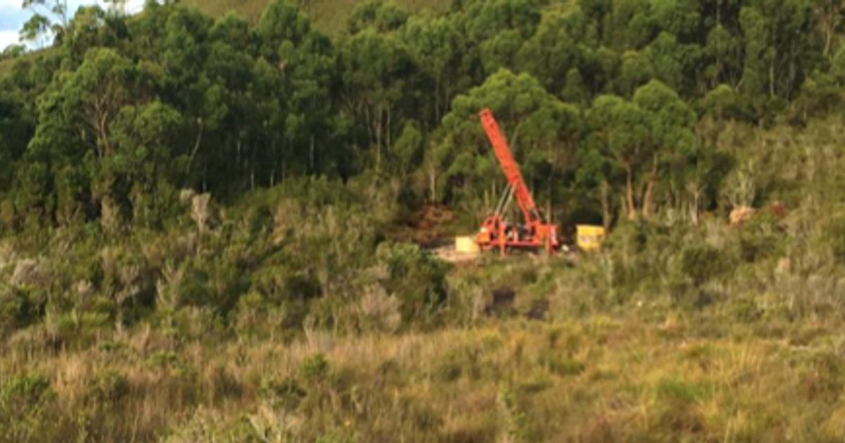 Flynn Gold finds resource definition-ready zinc-lead-silver targets at Henty - Vimarsana News