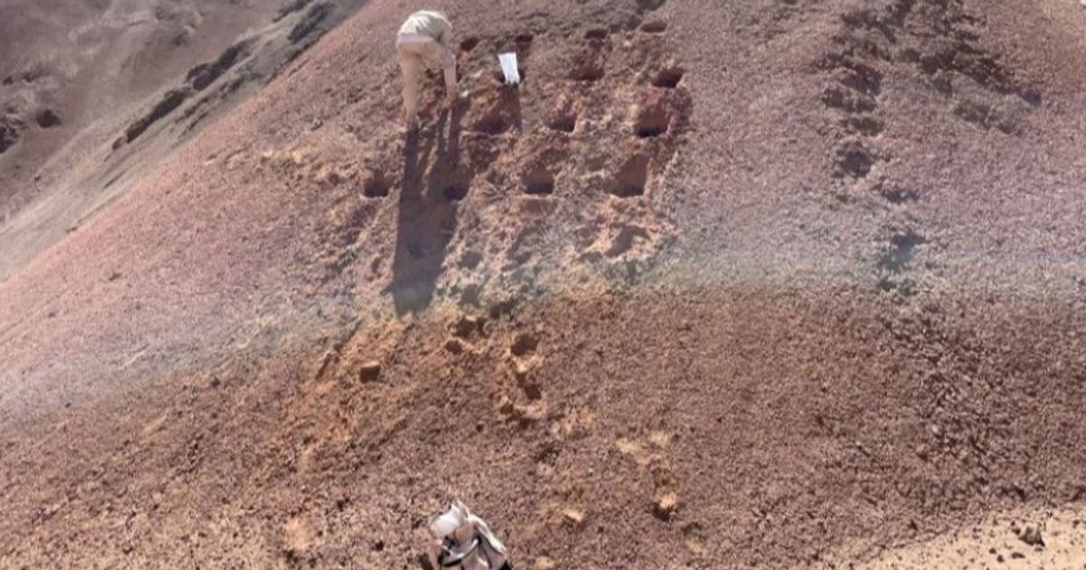 Solis Minerals moves into top gear with fieldwork at Peru copper projects - Vimarsana News