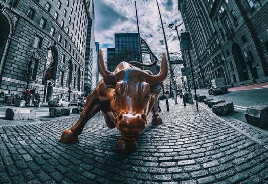 Willow Biosciences Inc - Midday stock movers: Hecla, Willow Bioscience, Gorilla Tech, Palo Alto, Tesla, XPeng and more