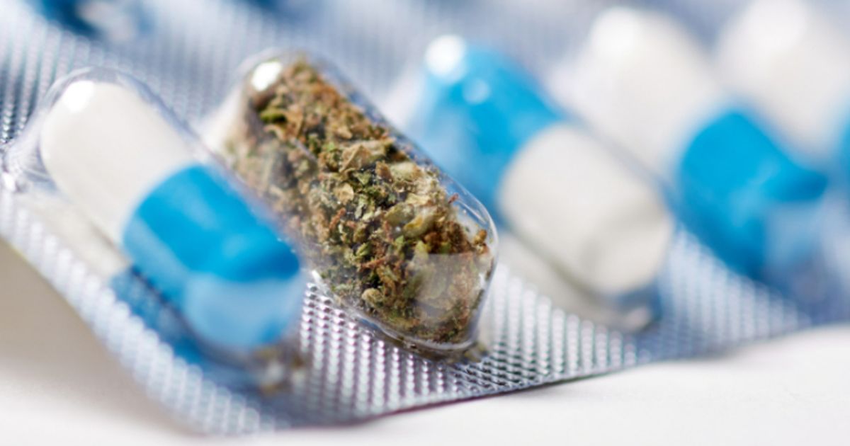 Pharmaceutical cannabis sales and clinical trials surge, with broader disease focus - Vimarsana News