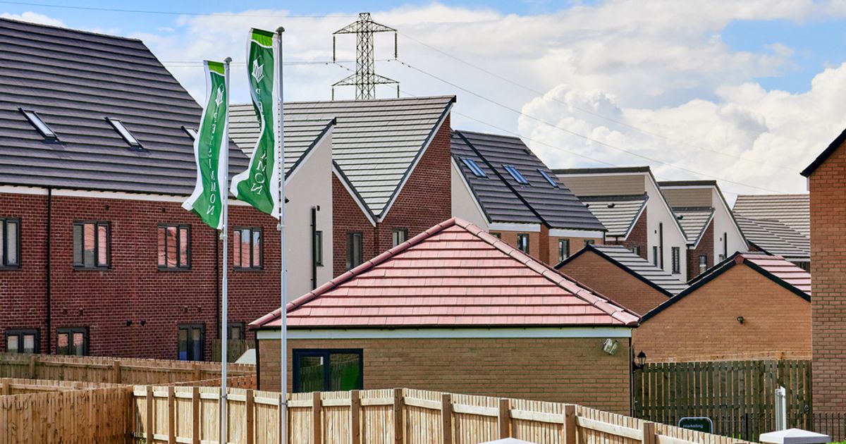 Housebuilders call for more investment in electricity grid to cope with heat pumps, car charging - Vimarsana News