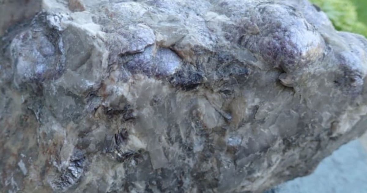 Solstice acquires two new lithium projects in Ontario's Frazer Lake area - Vimarsana News