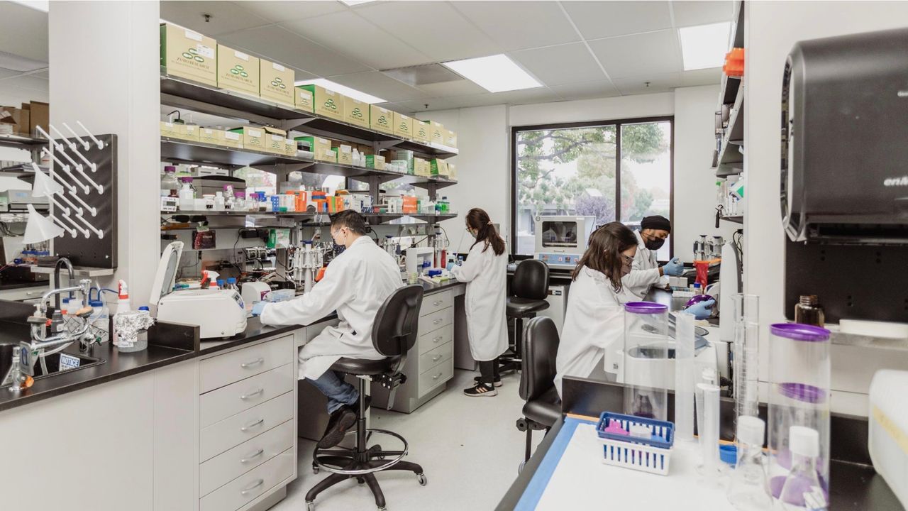 Willow Biosciences Inc - Willow Biosciences shares take off on iomanufacturing collaboration announcement