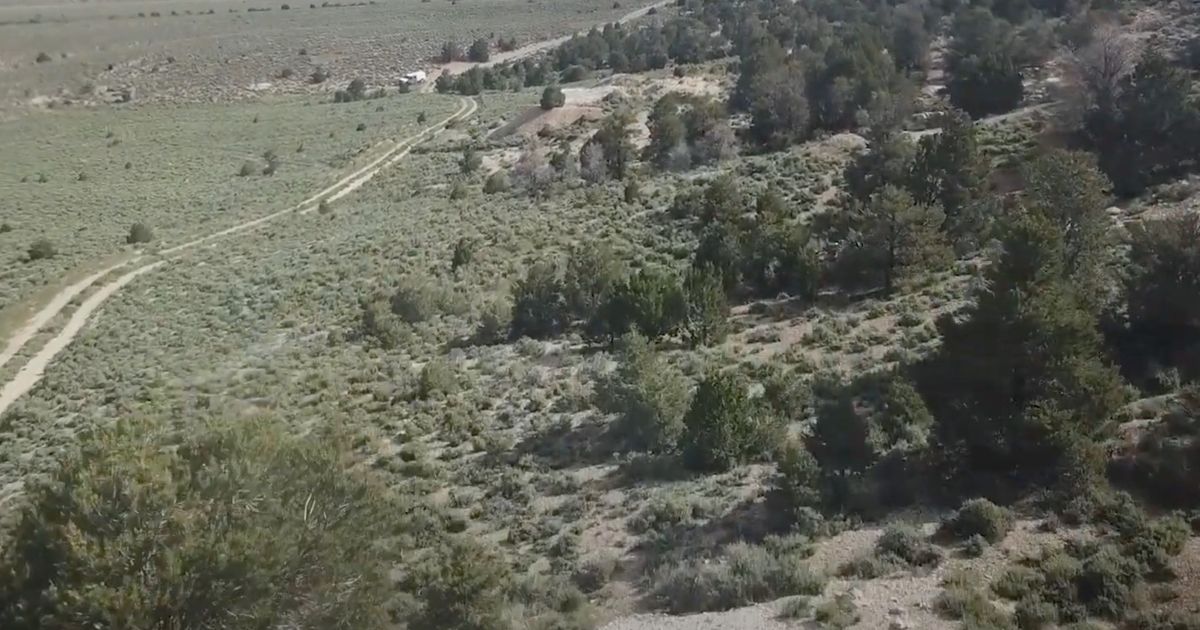 Silver Range Resources establishes new high-grade gold, silver, and copper project called Shamrock - Vimarsana News