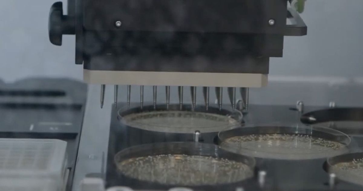 Willow Bioscience shifts focus to opportunity with BioOxi bio-oxidation platform - Vimarsana News