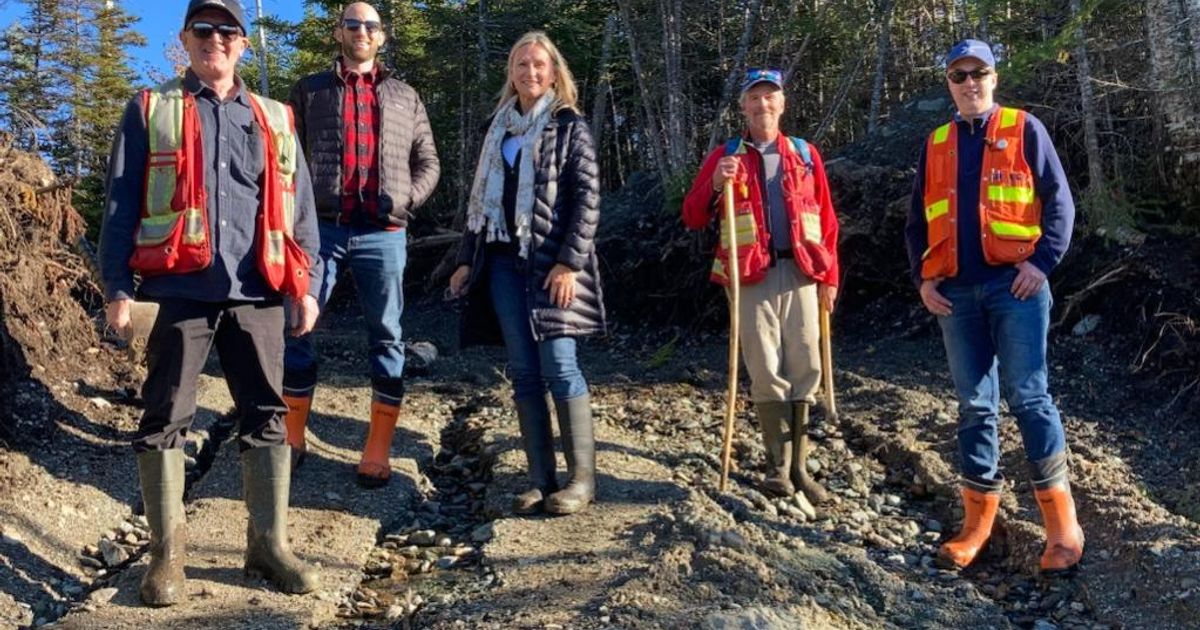 TRU Precious Metals is exploring gold and copper riches in Newfoundland's heartland - Vimarsana News