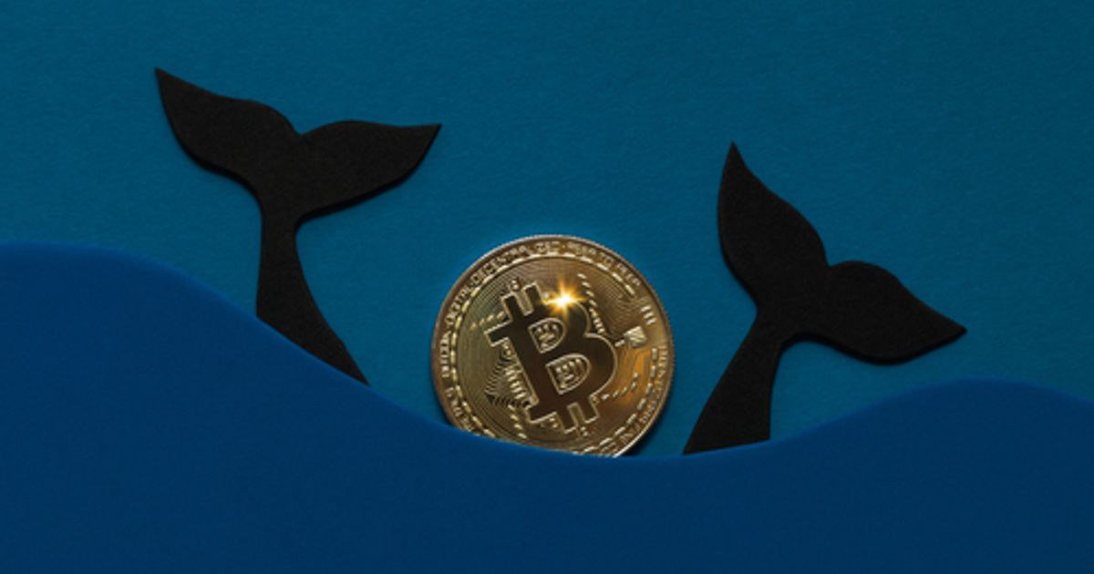 Crypto Daily: Bitcoin rich list adds mysterious whale - Vimarsana News
