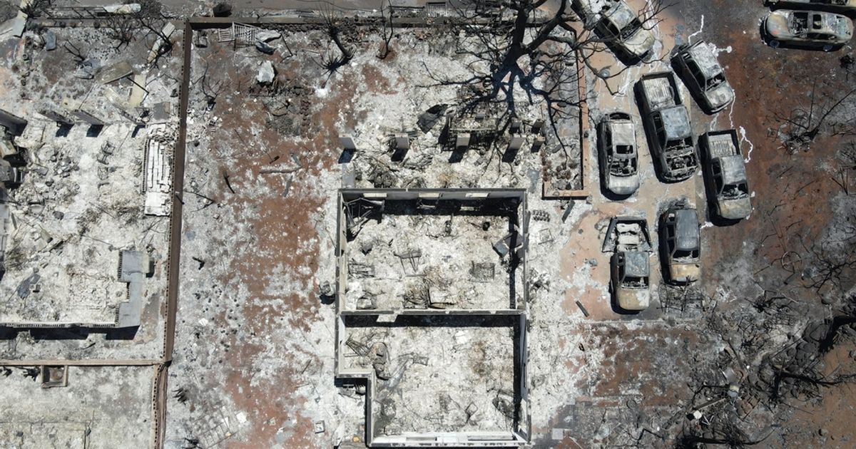 Marriott Vacations warns of financial impact to company from West Maui wildfires - Vimarsana News
